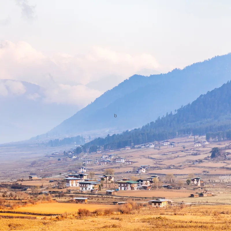 Phobjikha Valley