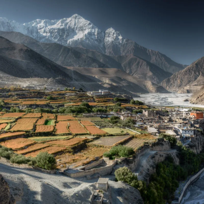 Golden terraced agricultural fields and a hillside village overlooking a wide riverbed against snow-capped peaks.