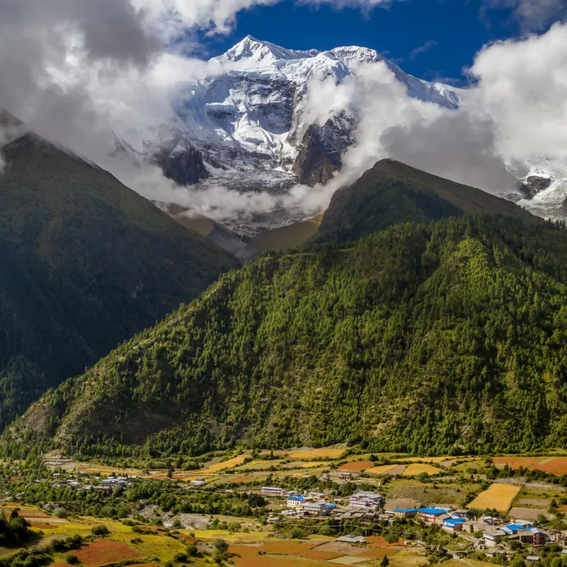 Panoramic view of a mountain village and patchwork farm fields below dense green forests and a massive snow-capped Himalayan peak under a blue sky.