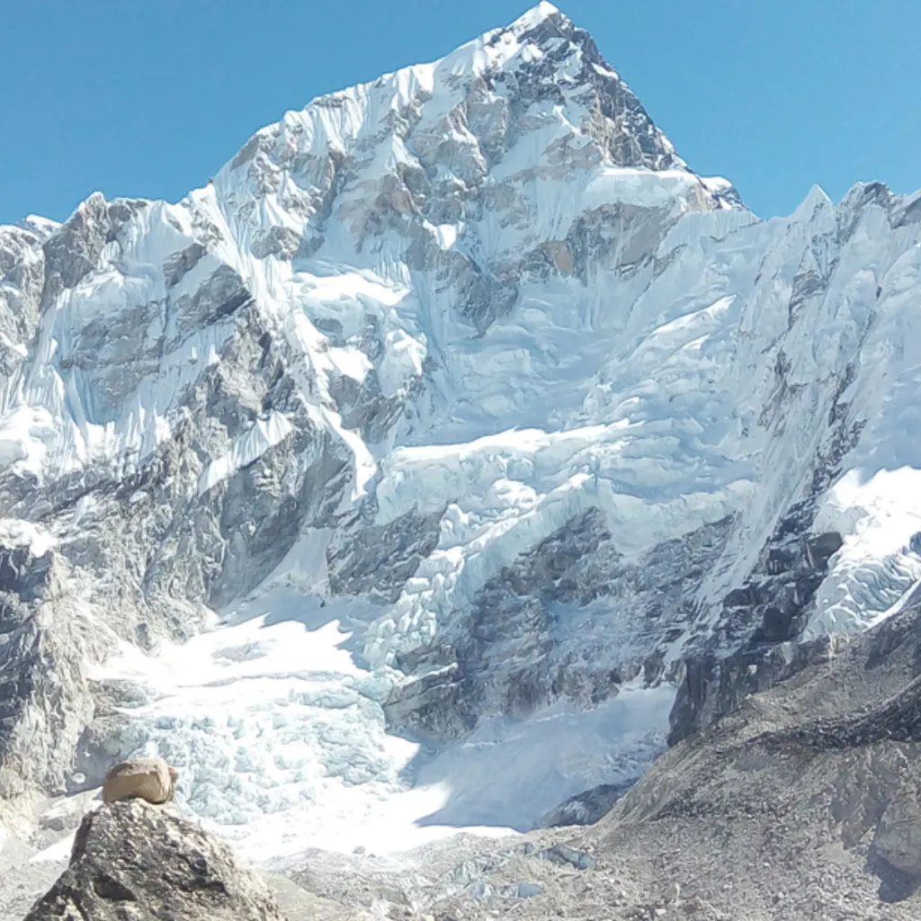Close-up view of the towering, heavily snow-covered and glaciated rock wall of Mount Nuptse in the Everest region.