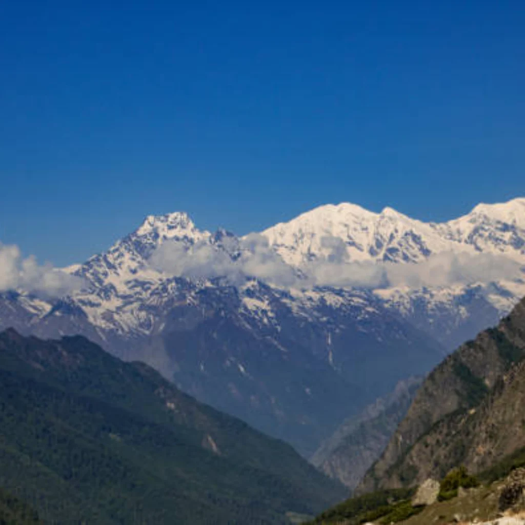 Panoramic view of massive snow-capped Himalayan peaks rising above low-lying clouds and forested green ridges under a clear blue sky.