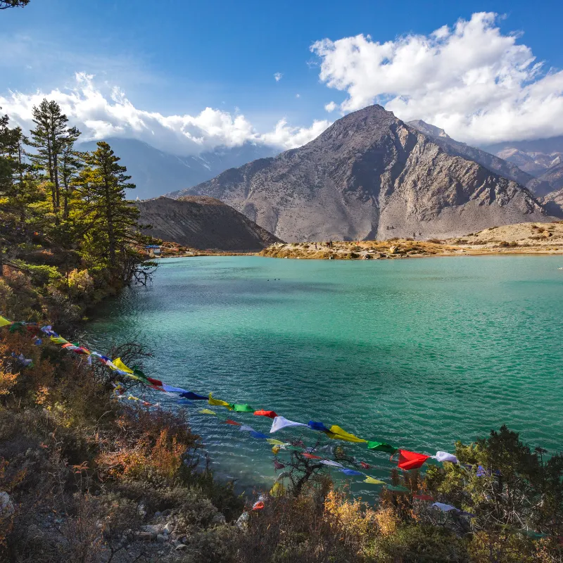 Jomsom Muktinath and Ghorepani Poon Hill Trekking