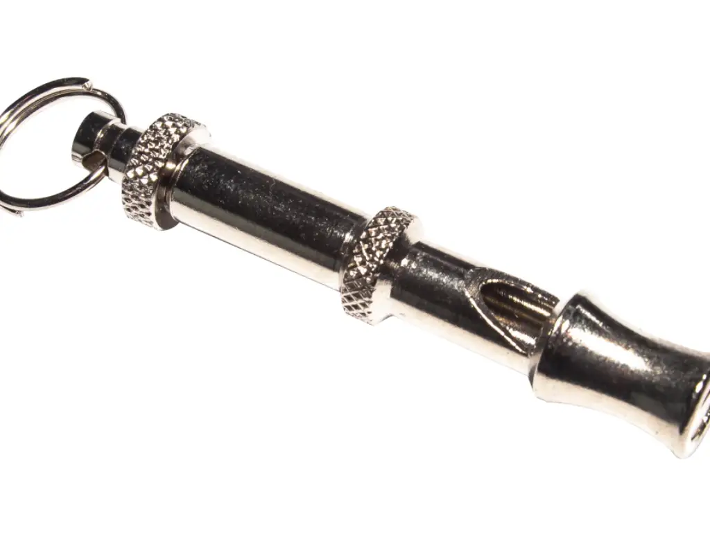Whistle